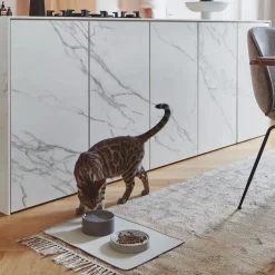 Miacara slowfeeder Porcelain Cat Bowls with Whisker Relief