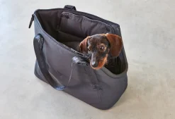 Miacara Sporta Dog Carrier - Asphalt