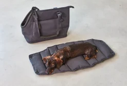 Miacara Sporta Dog Carrier - Asphalt
