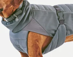 Miacara Stefano Winter Dog Coat - Slate