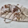 Miacara Strada Travel Bed for Dogs