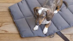 Miacara Strada Travel Bed for Dogs