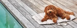 Miacara Strada Travel Bed for Dogs