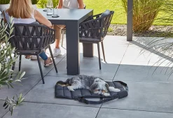 Miacara Strada Travel Bed for Dogs