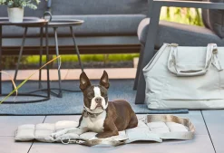 Miacara Strada Travel Bed for Dogs