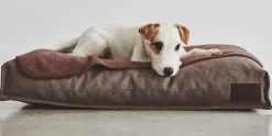 Miacara Unica Fleece Dog Blanket
