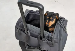 Miacara Volata Airline Pet Travel Carrier Bag