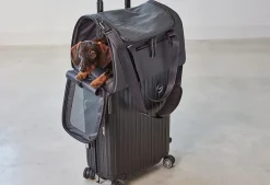 Miacara Volata Airline Pet Travel Carrier Bag