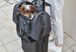 Miacara Volata Airline Pet Travel Carrier Bag