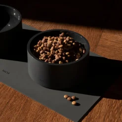 Mogo Non-Toxic Silicone Dog Bowl