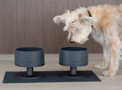 Mogo Non-Toxic Silicone Dog Bowl