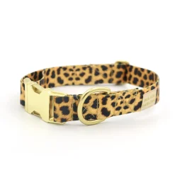 not-so-basic snap dog collar / leopard