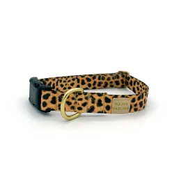 not-so-basic snap dog collar / leopard