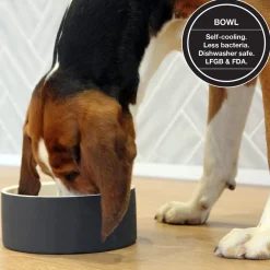 Paikka Ceramic Cool Water Bowl