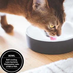 Paikka Ceramic Cool Water Bowl
