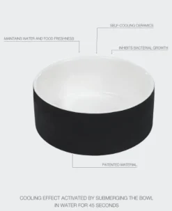 Paikka Ceramic Cool Water Bowl