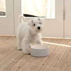 Paikka Cool Ceramic Dog Bowl Concrete