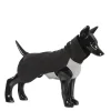 Paikka Recovery Winter Dog Shirt