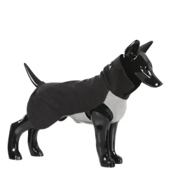 Paikka Recovery Winter Dog Shirt