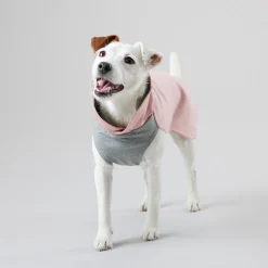 Paikka Recovery Winter Dog Shirt Pink