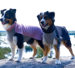 Paikka Recovery Winter Dog Shirt