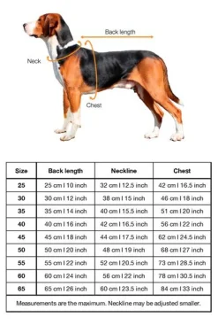 Paikka Recovery Winter Dog Shirt