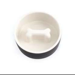 Paikka Slow Feeder Ceramic Pet Bowl