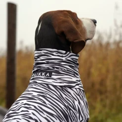 Paikka Sun & Insect Shield Dog Shirt