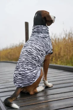 Paikka Sun & Insect Shield Dog Shirt