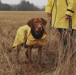 Paikka Visibility Dog Raincoat - Yellow