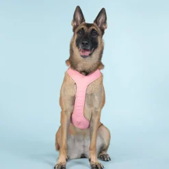 Paikka Visibility Large Dog Harness - Pink