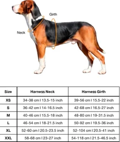 Paikka Visibility Large Dog Harness - Pink