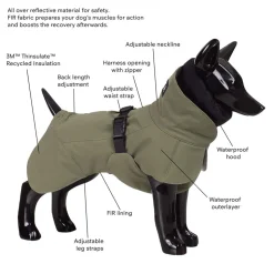 Paikka WaterProof Winter Dog Jacket - Green