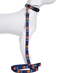 Pendleton Crater Lake National Park Hiker Dog Leash