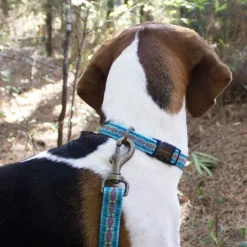 Pendleton Diamond River Turquoise Classics Dog Collar