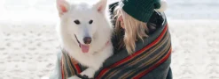 Pendleton Dog Bed San Miguel Kuddler