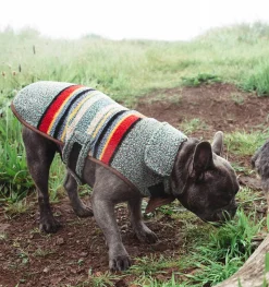 Pendleton Dog Coat Yakima Vintage Camp in Heather Green