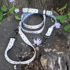 Pendleton Falcon Cove Classics Adventure Dog Collar