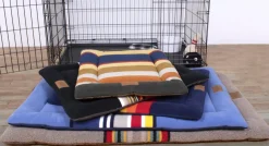 Pendleton Glacier National Park Comfort Cushion