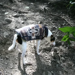 Pendleton Harding Dog Coat