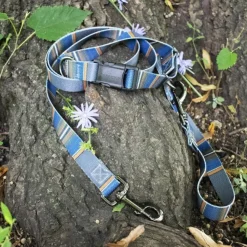 Pendleton Olympic National Park Adventure Dog Leash