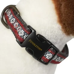 Pendleton San Miguel Dog Collar