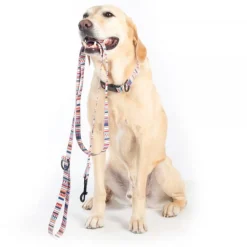 Pendleton Tamiami Classics Adventure Dog Leash