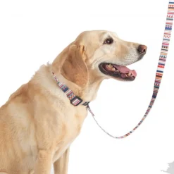 Pendleton Tamiami Classics Adventure Dog Collar