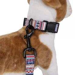 Pendleton Tamiami Classics Adventure Dog Collar