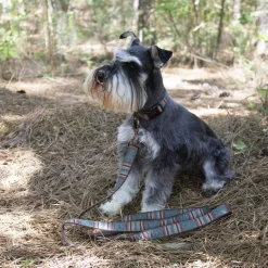 Pendleton Vintage Heather Green Hiker Collar