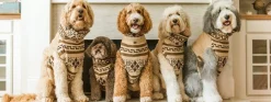 Pendleton Westerley Dog Sweater
