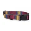 Pendleton Zion National Park Adventure Dog Collar