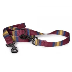 Pendleton Zion National Park Adventure Dog Leash