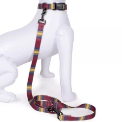 Pendleton Zion National Park Adventure Dog Leash